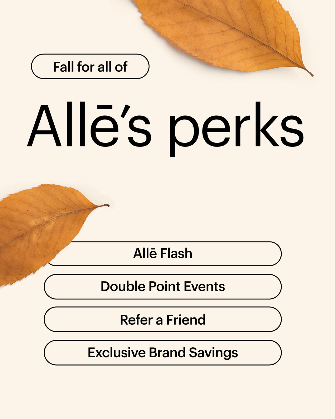 Allē Promotion 1